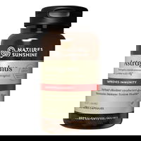 Nature's Sunshine Astragalus Improves Immunity Capsules 450 mg 100 Capsules 