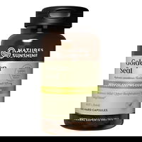 Nature's Sunshine Golden Seal Reduces Excess Mucous Capsules 525 mg 100 Capsules 