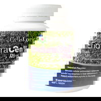Cell-Logic EnduraCell Plus Vegetable Capsules 60 Capsules 