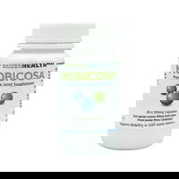 Natural Health Mobicosa Premium Joint Supplement Capsules 