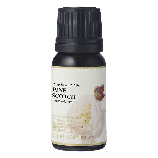 Ausganica 3% Pure Essential Oil Chamomile German Blue in Organic Jojoba Oil Pine (Scotch) 11 ml 