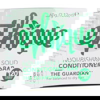 Ethique The Guardian Nourishing Solid Conditioner Bar for Balanced to Dry Hair 60 gm 